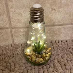 🆕CHEERFUL: Light up Decorative Light Bulb with Faux Succulent & Pebbles CHD798